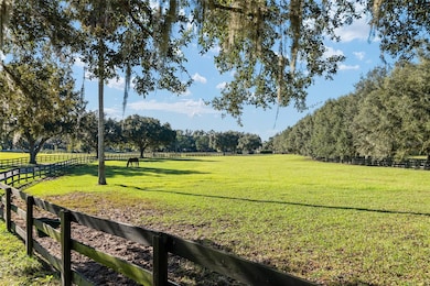 901 SW 87th Place, Ocala, FL 34476 - photo 4