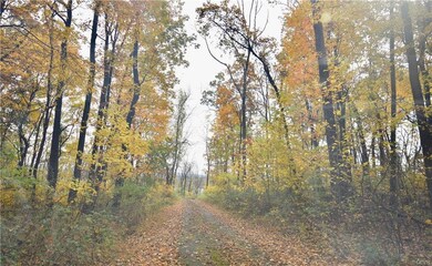 2519 Red Hill Rd, Slatington, PA 18080 - photo 3