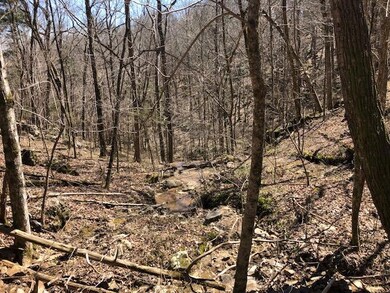 Dugan Loop # 7 Stream