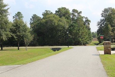 27410 E Benders Landing Blvd, Spring, TX 77386 - photo 3