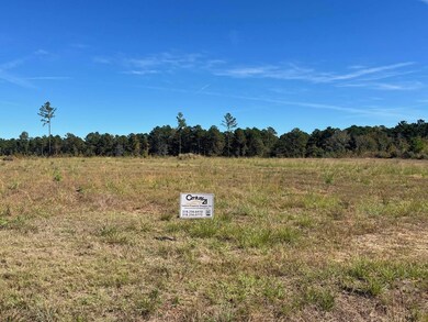 451 Tobe Nabours Rd, Many, LA 71449 - photo 2