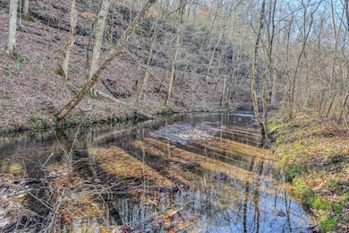 875 Waterloo Rd, Westpoint, TN 38486 - photo 3