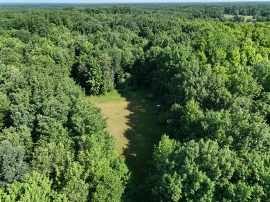 Drone Food Plot Pic - YES