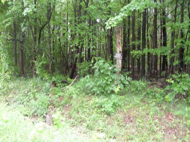 vacant land 152nd 005