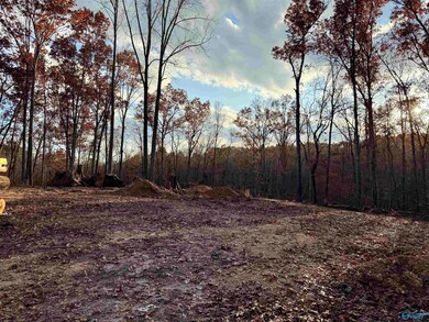 1 County Road 137, Cedar Bluff, AL 35959 - photo 6