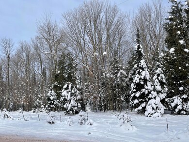 On Cth F unit 20 +/- A, Butternut, WI 54514 - photo 4