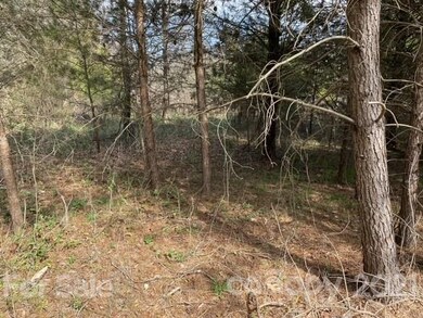 000 Twin Oaks Rd, Statesville, NC 28625 - photo 4