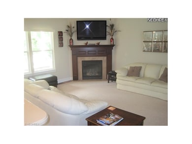 Direct Vent gas fireplace.