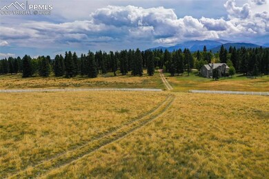 195 Joshua Rd, Divide, CO 80814 - photo 2