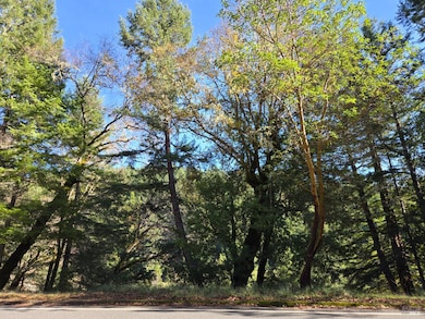 2713 Primrose Dr, Willits, CA 95490 - photo 5