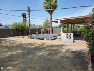 BACKYARD (1)