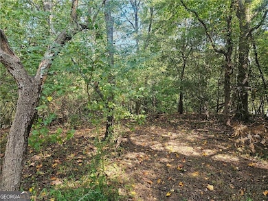 1394 Spring Place Rd, Rydal, GA 30171 - photo 5