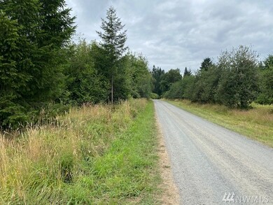 1 Hinkley Rd, Toledo, WA 98591 - photo 5