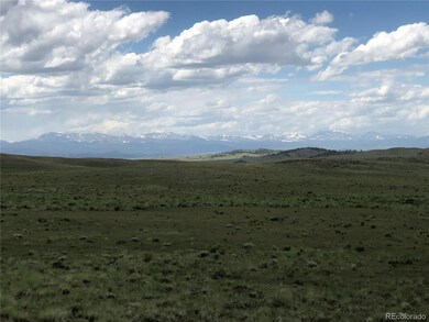 1341 Xtha Trail, Hartsel, CO 80449 - photo 7