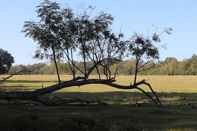 6514 Newton Hwy, Colquitt, GA 39837 - photo 3