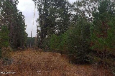 1209 Hilt Fornea Rd, Poplarville, MS 39470 - photo 2