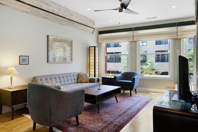 Great Light in the Living Room