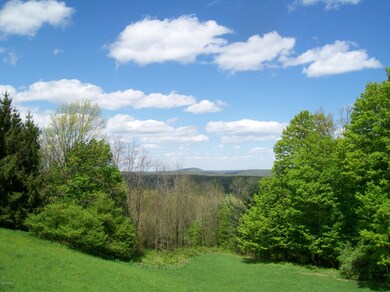 0 Rd, Honesdale, PA 18431 - photo 4