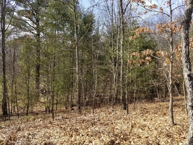 8821 30th Ave, Merrill Township, MI 49309 - photo 4