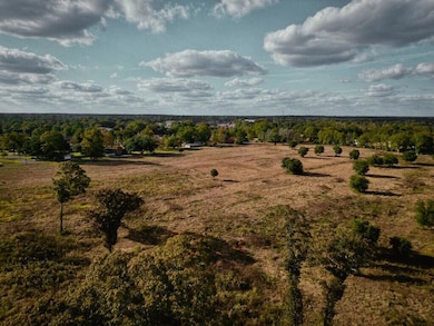 Lot 1 Spruce St, Poplarville, MS 39470 - photo 3