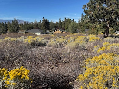 7-2 Lot 207 Otter Ct unit 7-2, Lake Shastina, CA 96094 - photo 2