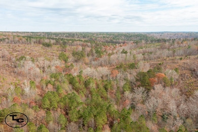 0 Bird Farm Rd, Jasper, AL 35503 - photo 3