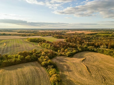21672 520th St, Centerville, IA 52544 - photo 6