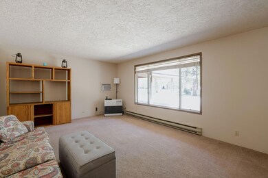 2-web-or-mls-50868 Doe Loop-1