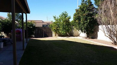 backyard p