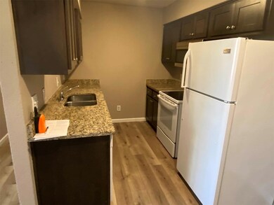 319 SE 3rd St unit 201, Grand Prairie, TX 75051 - photo 4