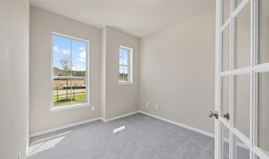 18739 Creek Falls Ln, Magnolia, TX 77355 - photo 5