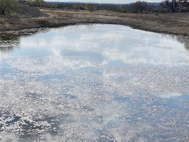 14500 County Road 129, Brownwood, TX 76801 - photo 2