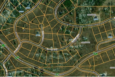 33512 Seneca Trail, Oak Creek, CO 80467 - photo 7