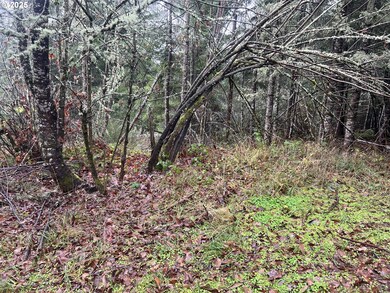 82964 Hungry Hill Rd, Creswell, OR 97426 - photo 6