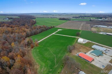 435 Bertha E Dumey Dr, Benton, MO 63736 - photo 3