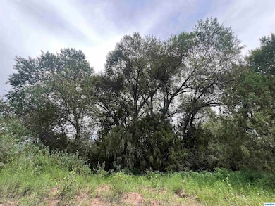 5 Chestnut St unit Tracts 1A and 1B, Mimbres, NM 88049 - photo 5