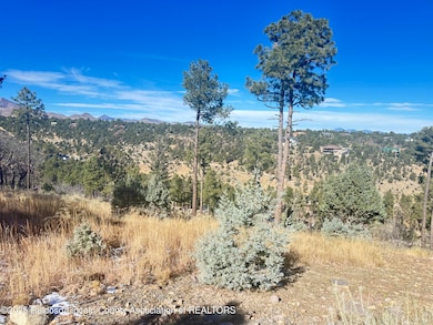 000 El Camino Dr, Alto, NM 88312 - photo 3