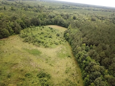 00 Red Bud Rd, Castalia, NC 27816 - photo 7