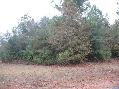 165 White Oak Ln, Lufkin, TX 75904 - photo 2