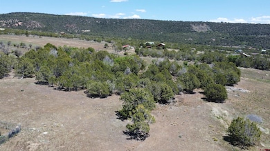 TBD Surface Creek Rd, Cedaredge, CO 81413 - photo 2