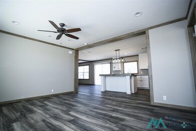 1006 Butternut St, Carlsbad, NM 88220 - photo 3