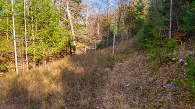 0 Cr-1039, Beattyville, KY 41311 - photo 6