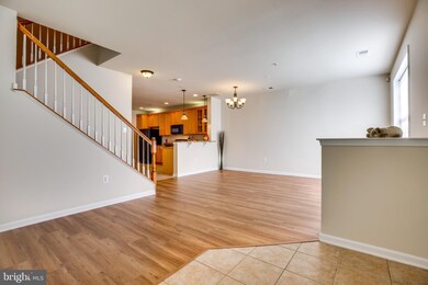 22755 Settlers Trail Terrace, Ashburn, VA 20148 - photo 7