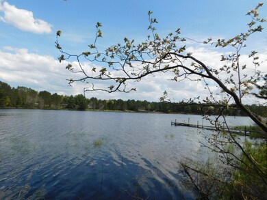 Lot 1 Silver Birch Rd, Tomahawk, WI 54487 - photo 4