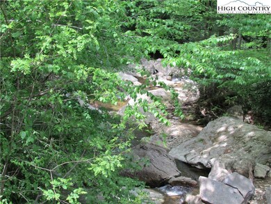 76 Green Ridge Ln unit B, Banner Elk, NC 28604 - photo 3