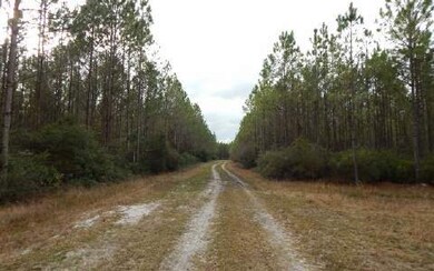 0 Us Hwy 441 Parcel 2a unit 93914, Lake City, FL 32055 - photo 4