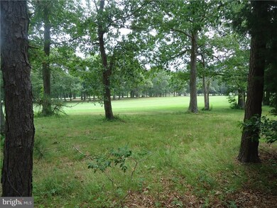 33 Country Club Blvd, Little Egg Harbor Township, NJ 08087 - photo 5