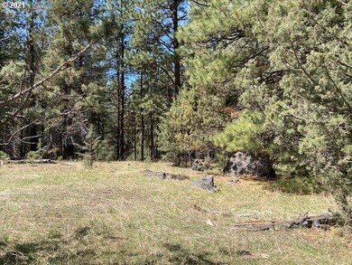 0 Nans Rock Rd unit 21028873, Mount Vernon, OR 97865 - photo 2