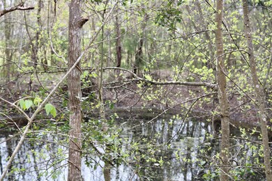 3830 County Road 424, Alvin, TX 77511 - photo 7