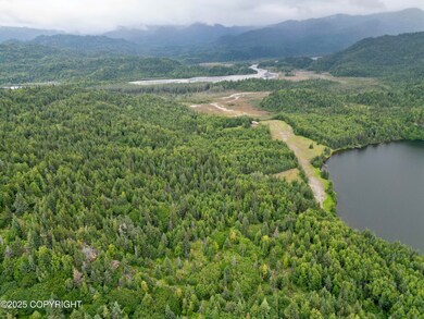 Tr A-2 Pomeroy Rd, Homer, AK 99603 - photo 5